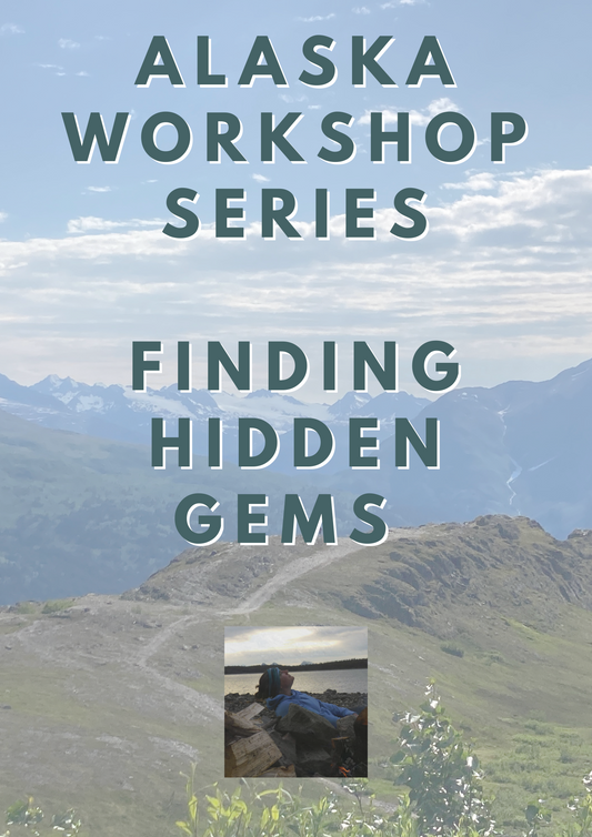 Alaska Workshop Series: Finding Hidden Gems